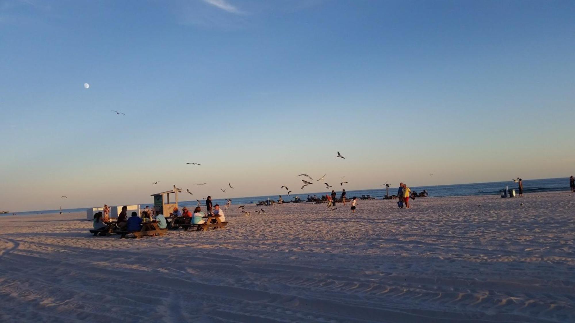 A Wave From It All Beach Resort Gulf Shores Zewnętrze zdjęcie